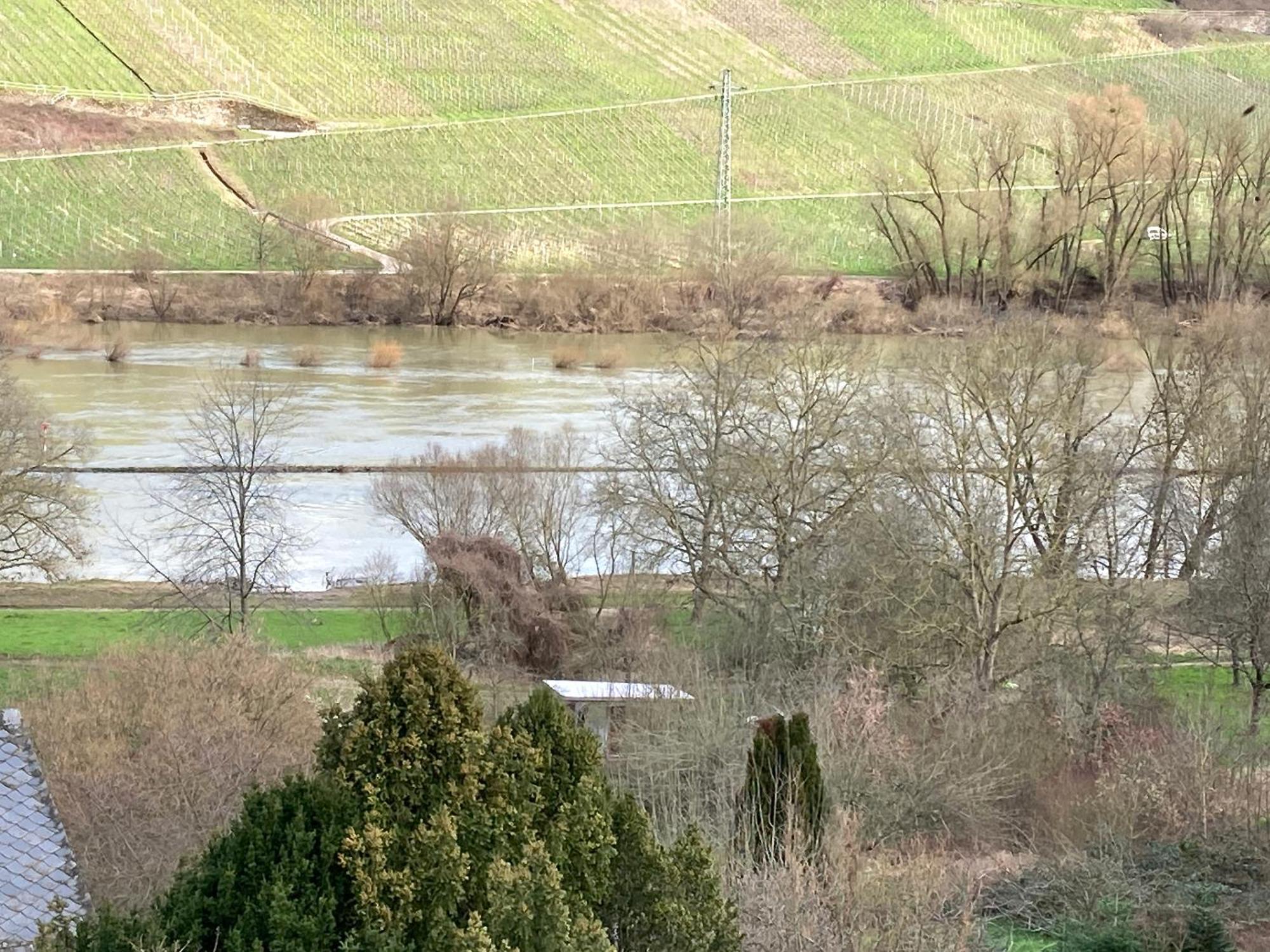 Burgblick Apartment *