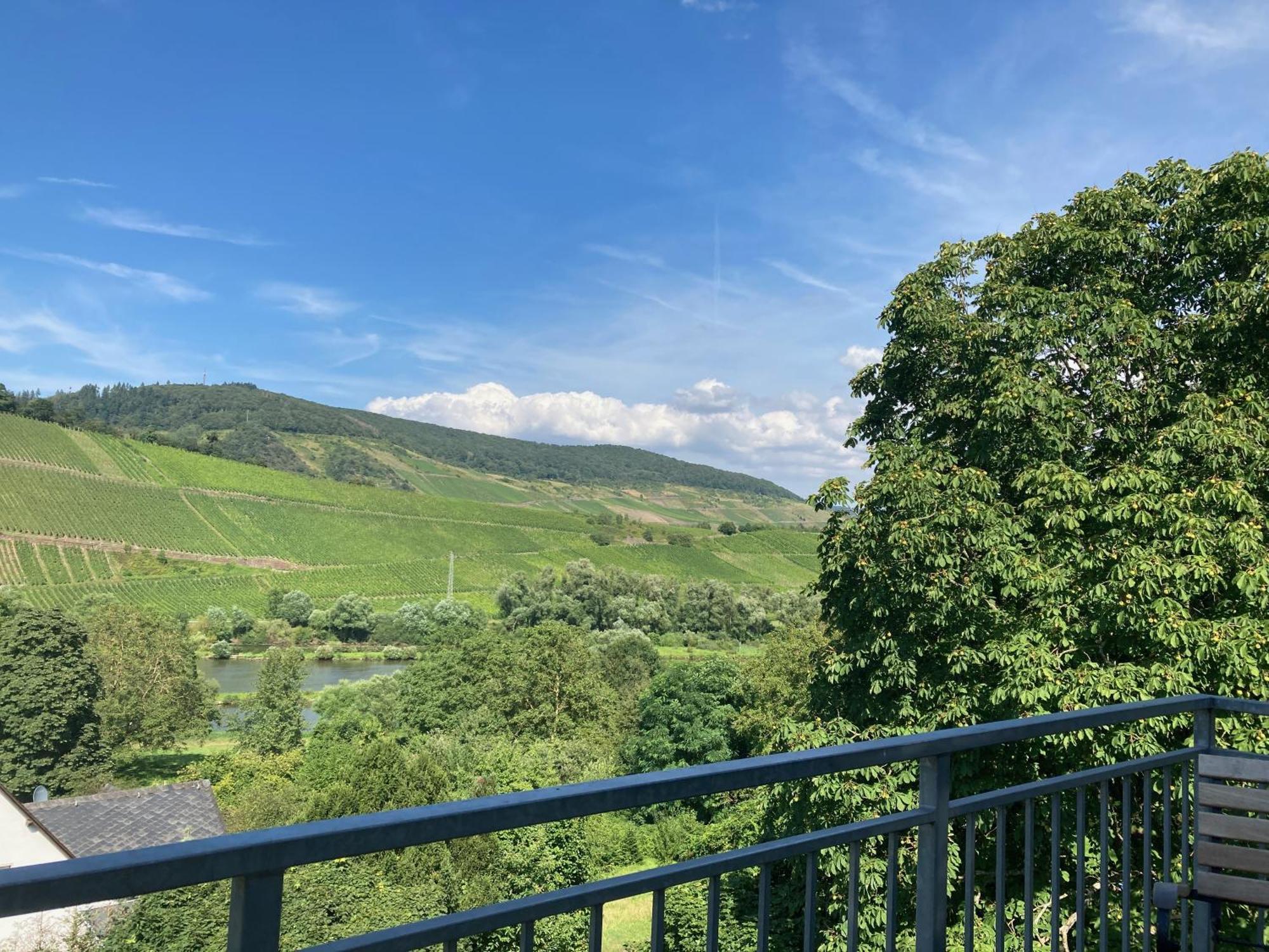 Burgblick Apartment Pünderich